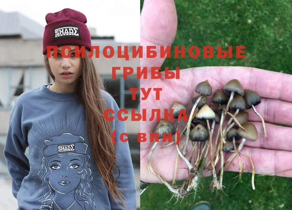 соль ск Алексеевка