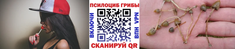 Псилоцибиновые грибы ЛСД  Нижний Тагил 