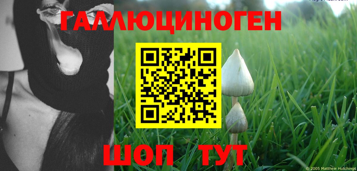 Галлюциногенные грибы MAGIC MUSHROOMS Нижний Тагил